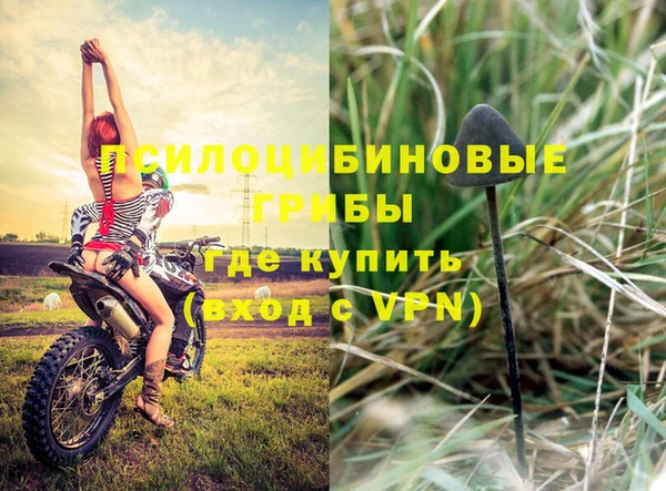 apvp Каменск-Шахтинский