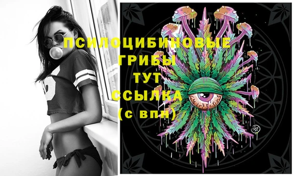 герыч Карпинск