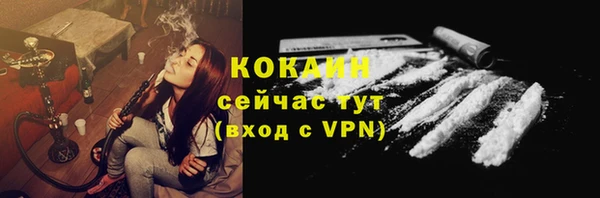 мет Каменка