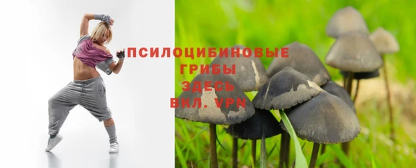apvp Каменск-Шахтинский