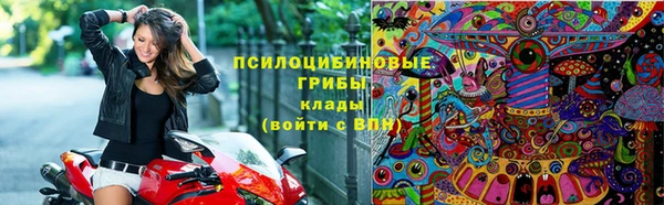Альфа ПВП Каменногорск