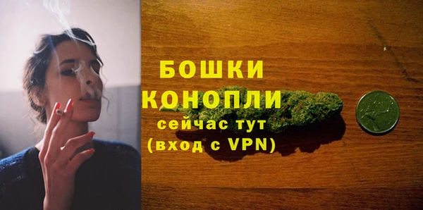 мет Каменка